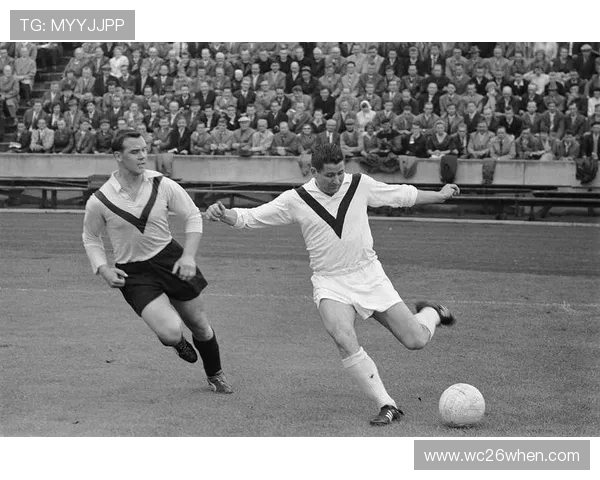 世界杯历届最佳射手名单全解析,谁才是真正的足球之王